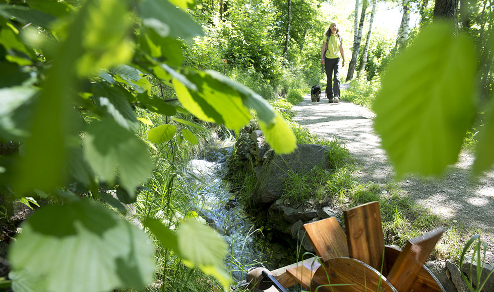 Freizeitaktivitäten in Partschins und im Vinschgau